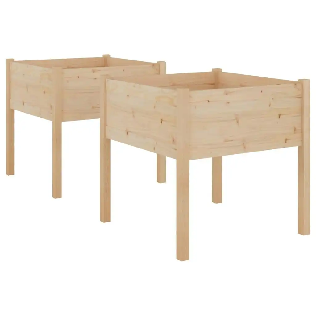 Garden Planters 2 pcs 70x70x70 cm Solid Pinewood 810810