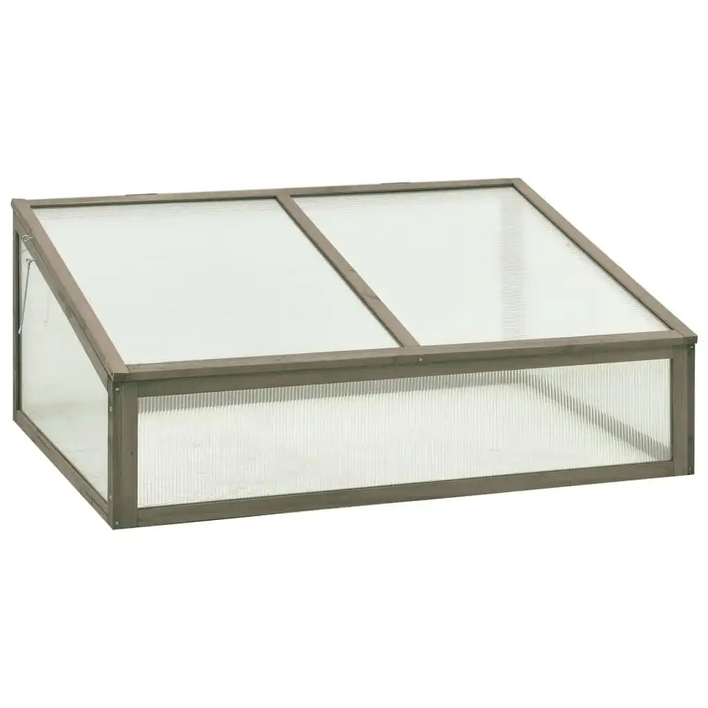 Greenhouse 100x65x40 cm Firwood 314851