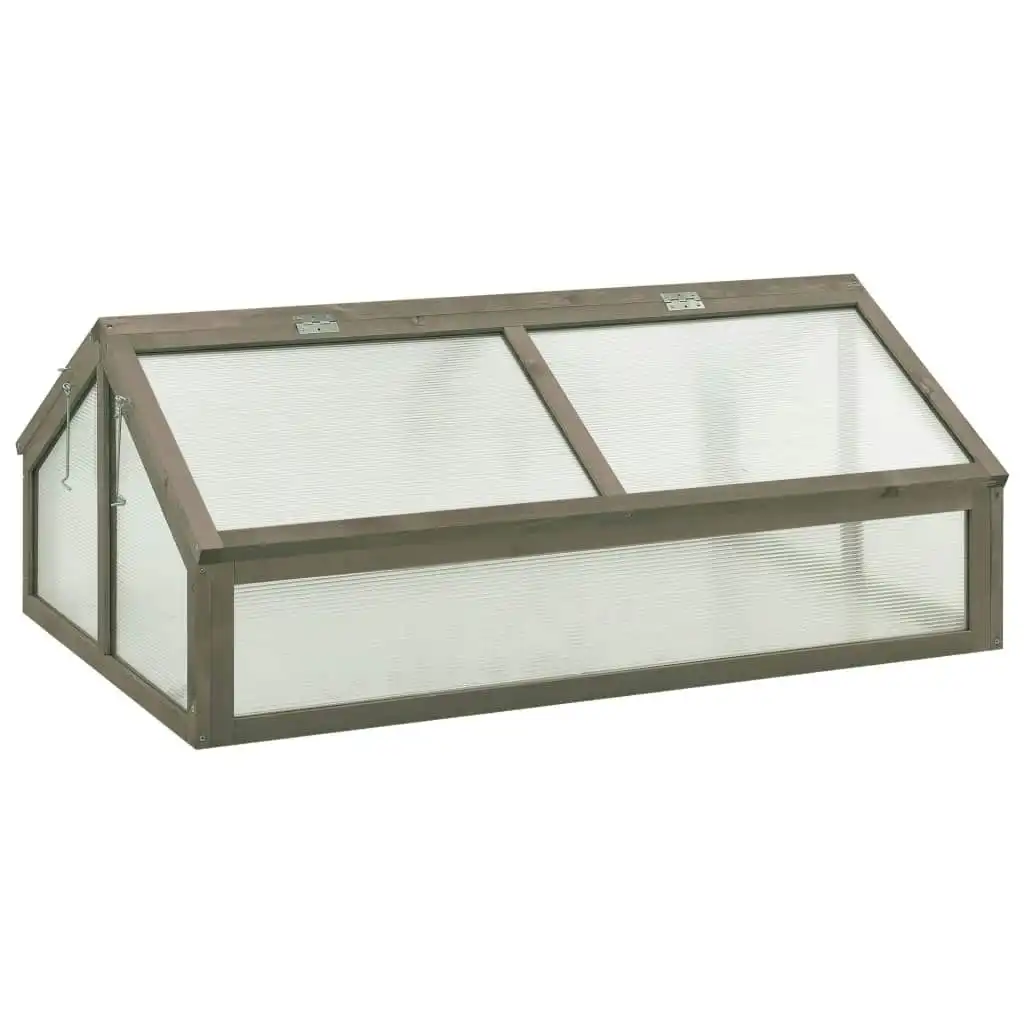 Greenhouse 120x80x50 cm Firwood 314853