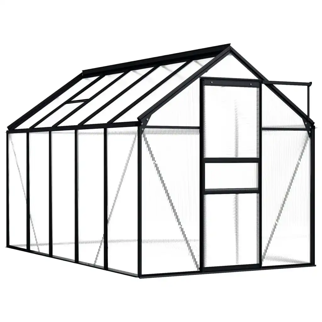 Greenhouse Anthracite Aluminium 5.89 mÂ² 48211