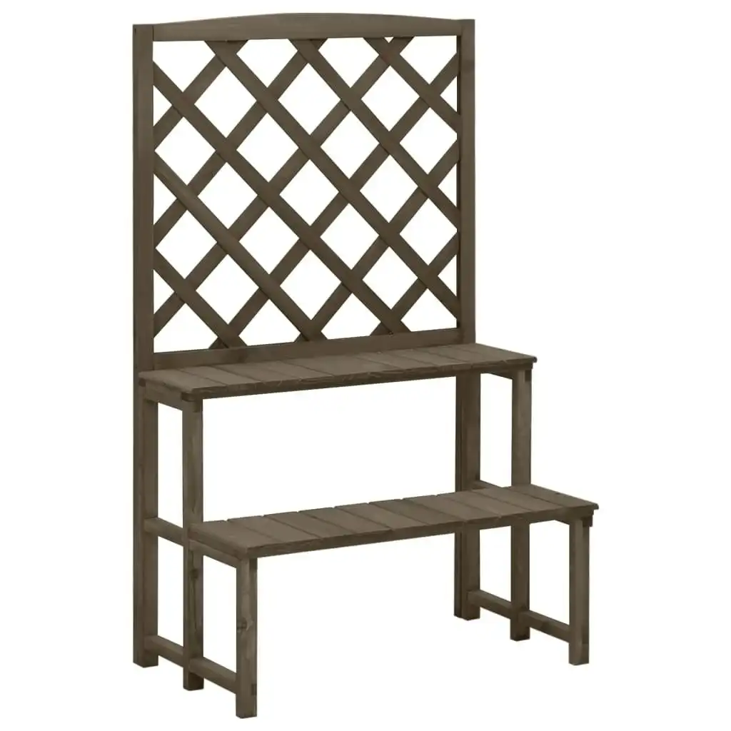 Plant Stand with Trellis Grey 70x42x115 cm Solid Fir Wood 316414