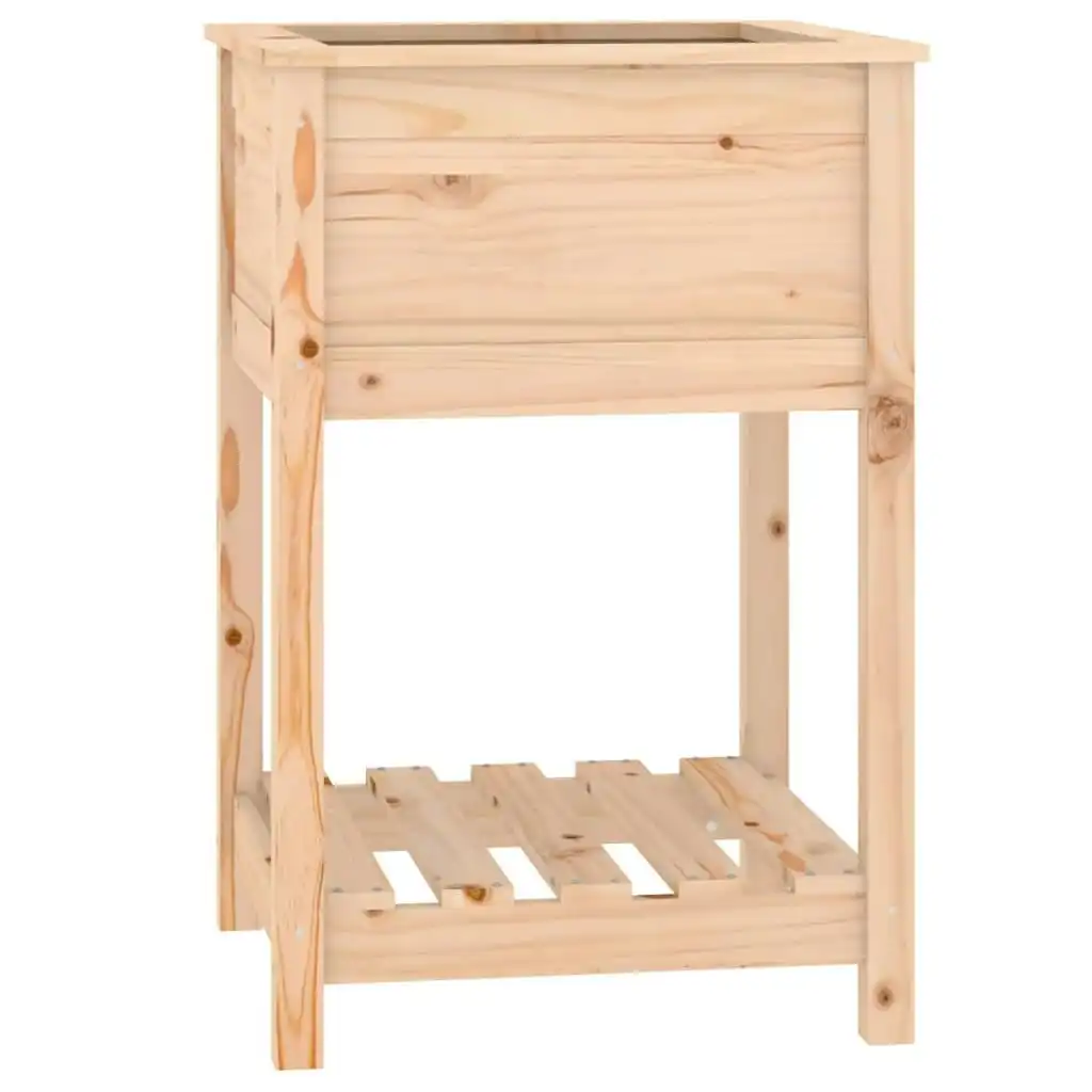 Planter with Shelf 54x54x81 cm Solid Wood Pine 823773