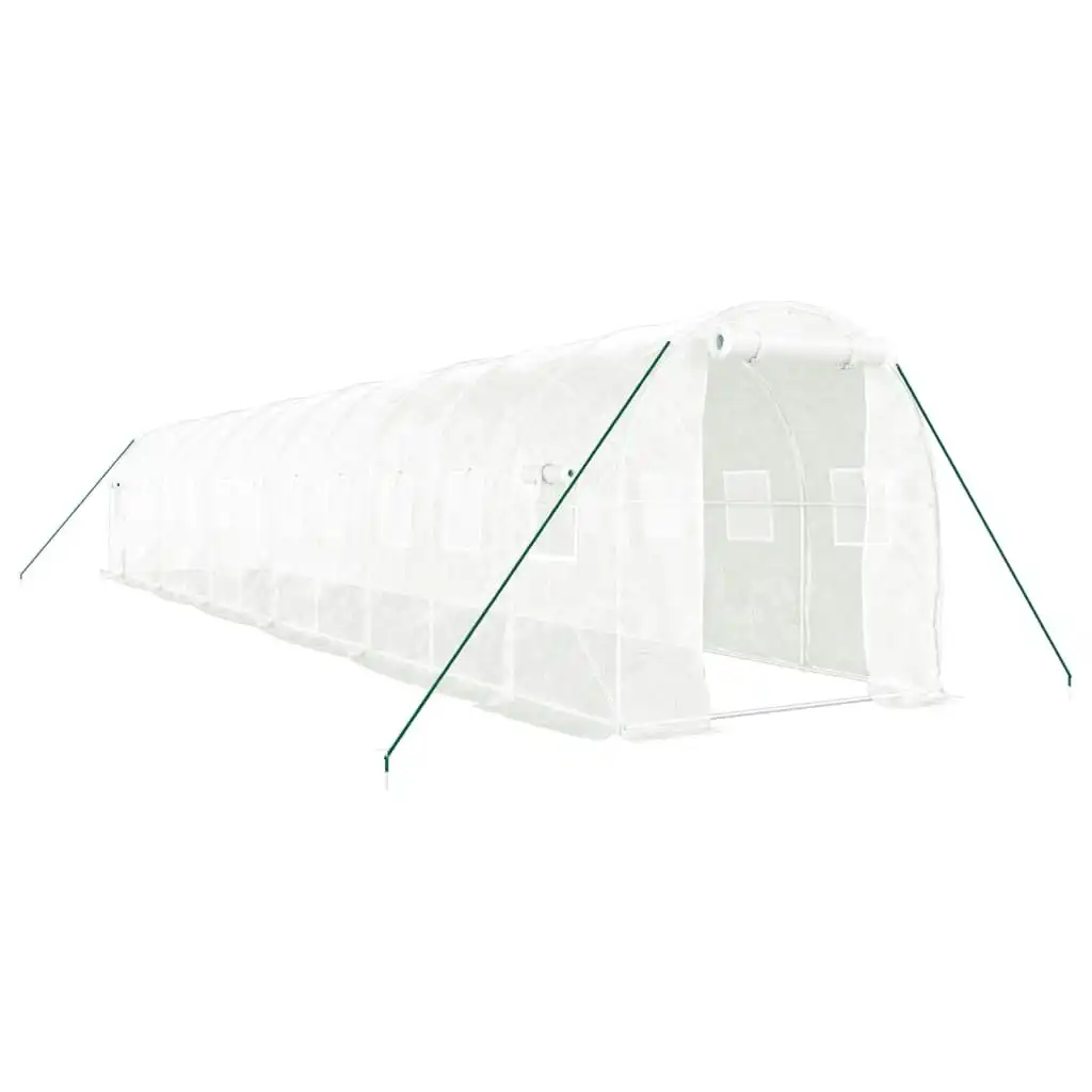 Greenhouse with Steel Frame White 24 mÂ² 12x2x2 m 3188032