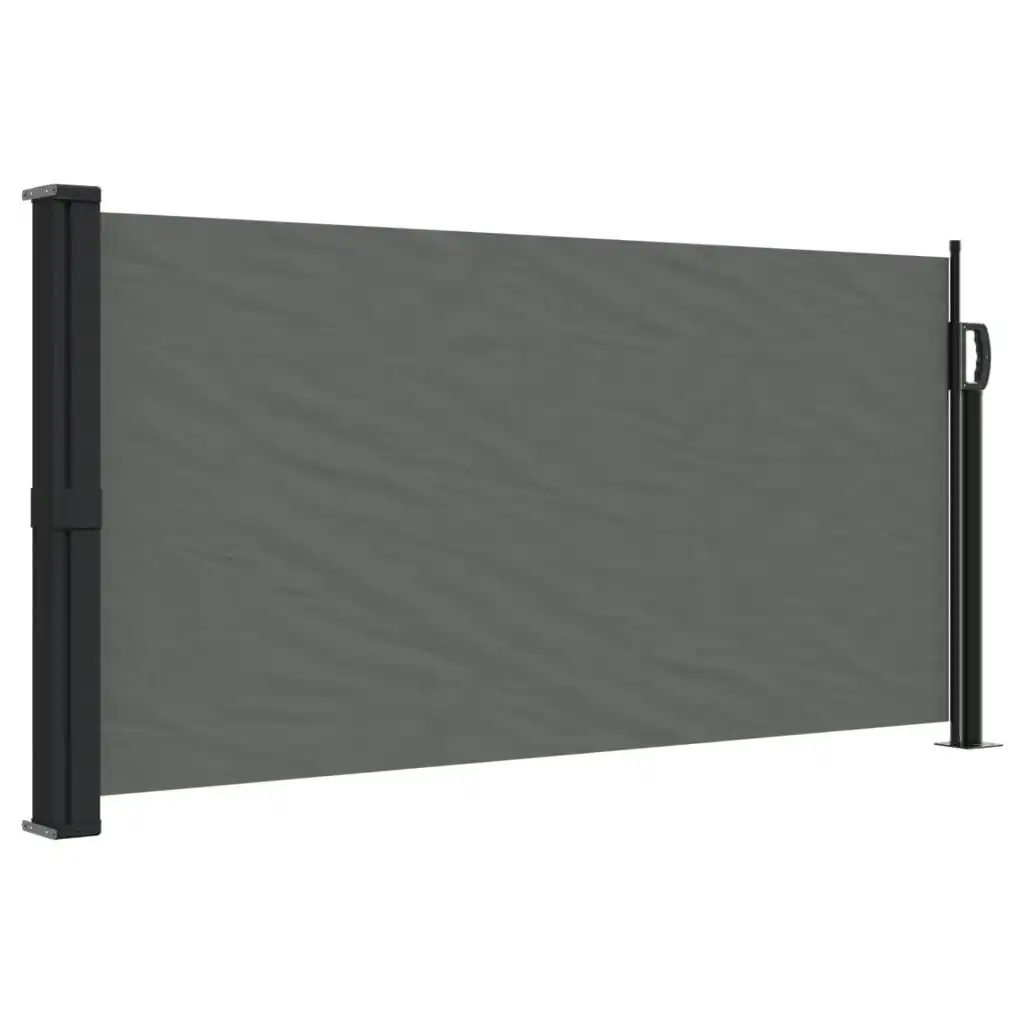 Retractable Side Awning Anthracite 100x500 cm 4004398