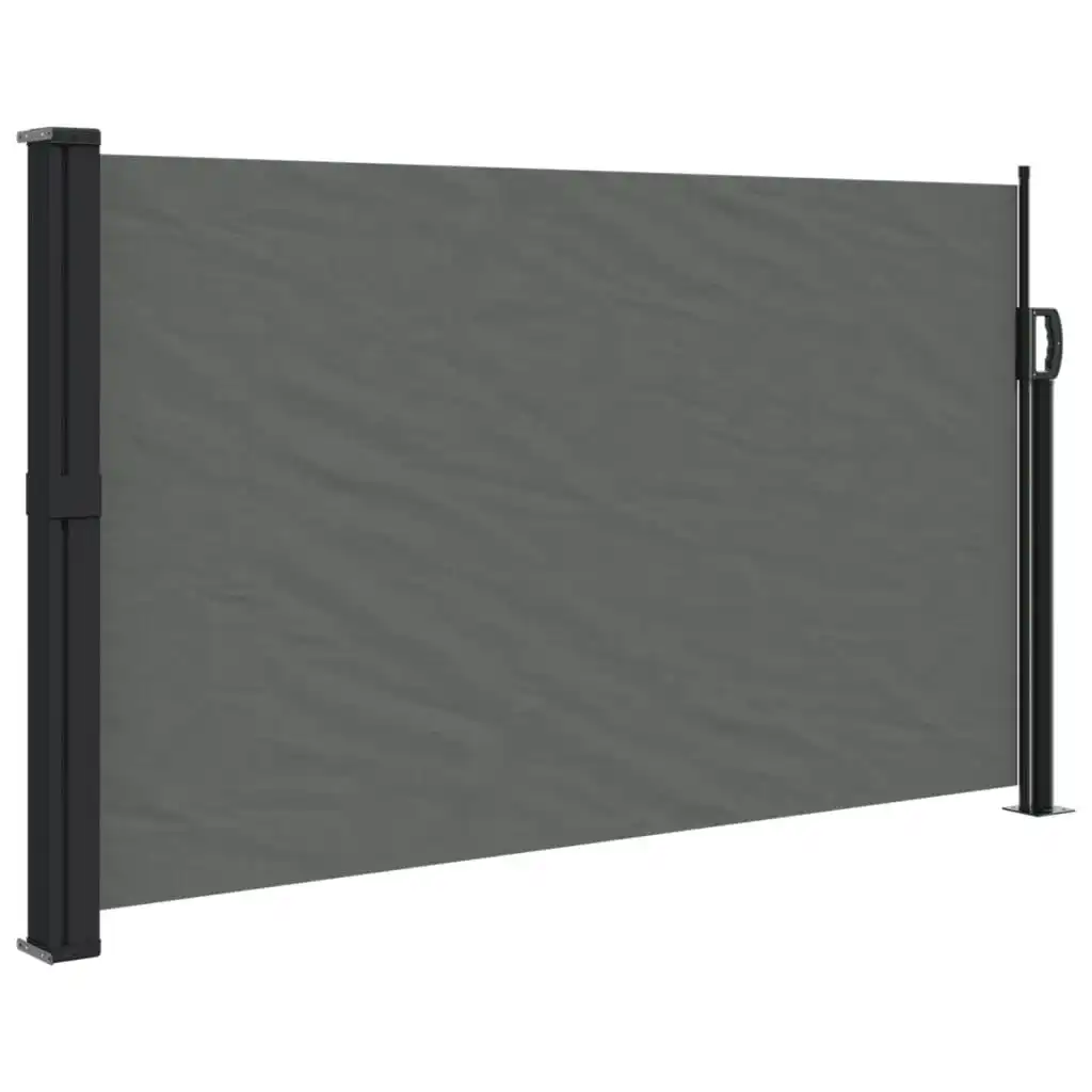 Retractable Side Awning Anthracite 120x300 cm 4004293