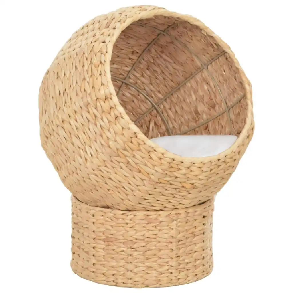 Cat Basket Seagrass 170732