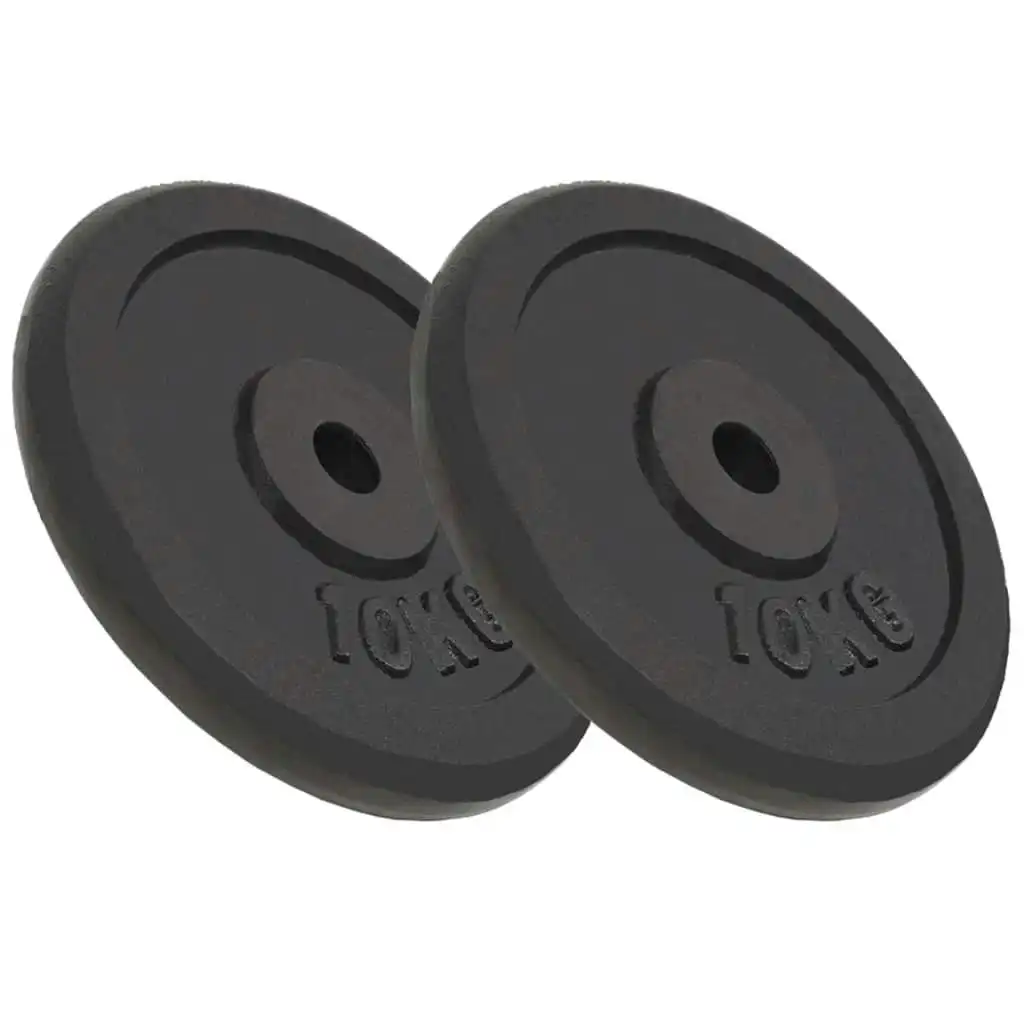 Weight Plates 2 pcs 2x10 kg Cast Iron 91394