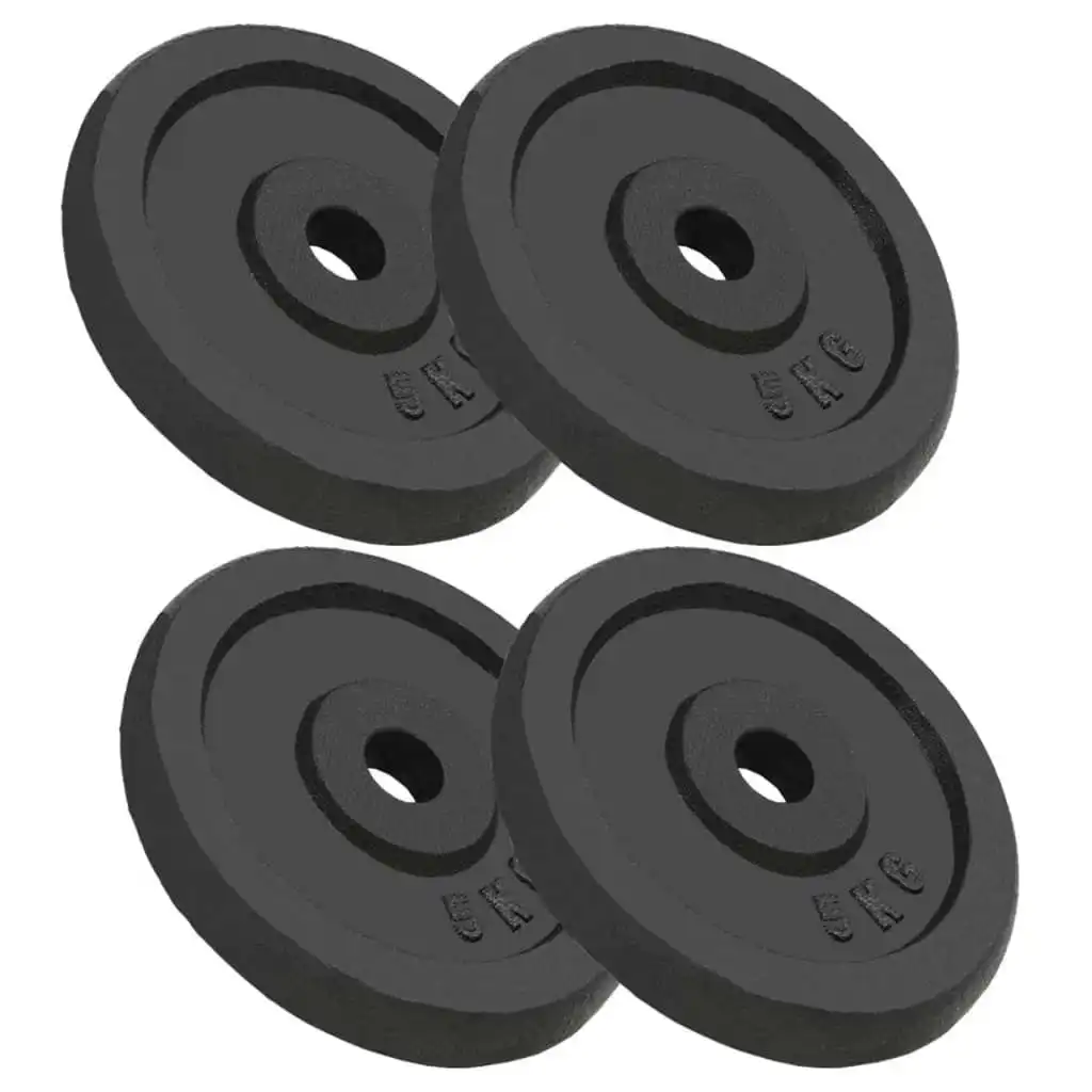 Weight Plates 4 pcs 4x5 kg Cast Iron 91392