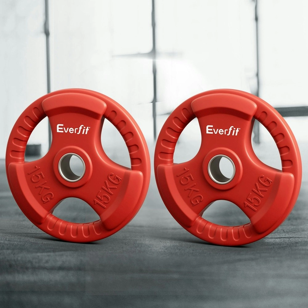 Everfit Weight Plates Standard 15kgx2 Dumbbell Barbell Plate Weight Lifting Home Gym Red