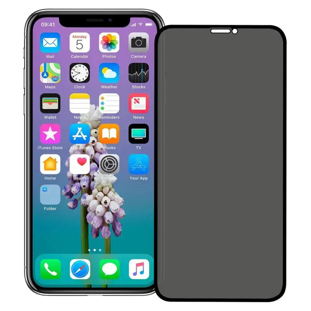 Privacy Tempered Glass Screen Protector For iPhone X / XS