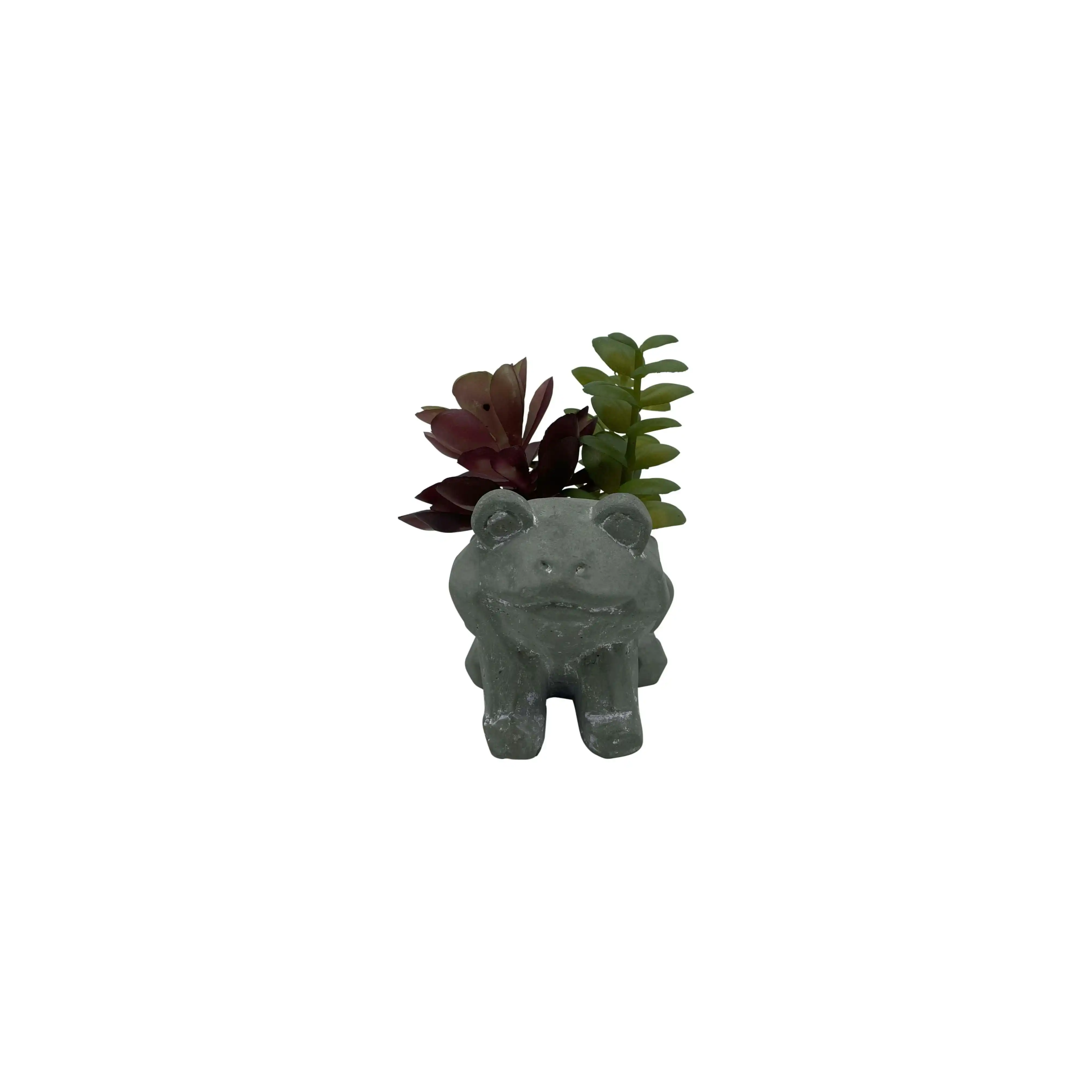 Flower Pot with Plastic Succulents - Frog