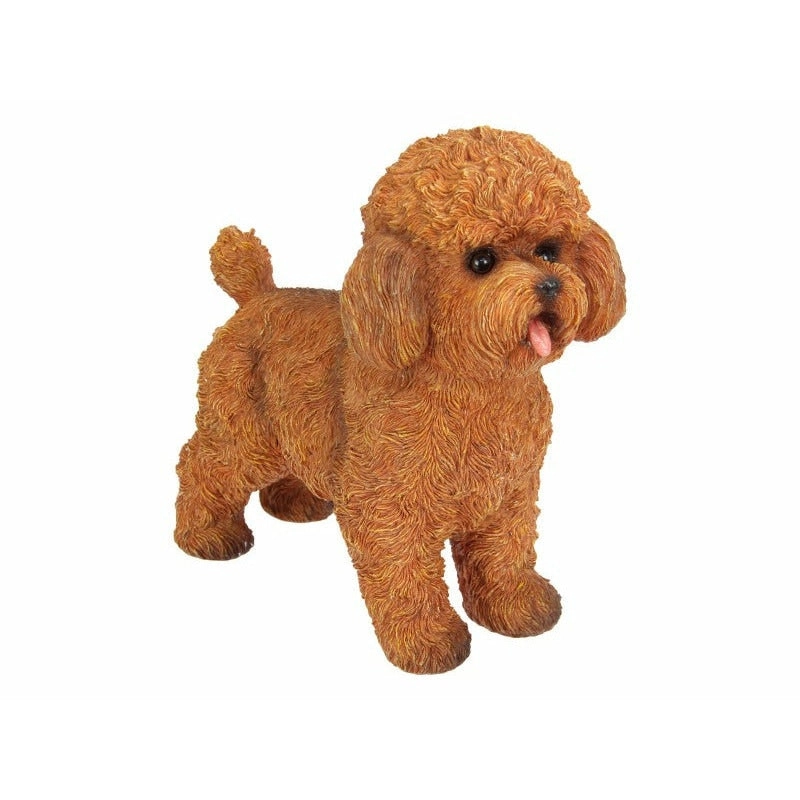 Standing Brown Cavoodle Dog