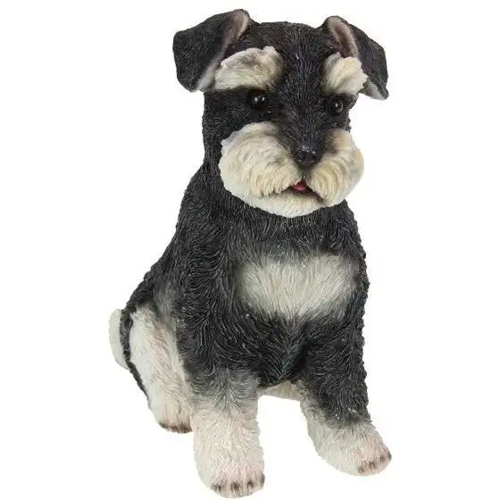 Sitting Schnauzer Dog