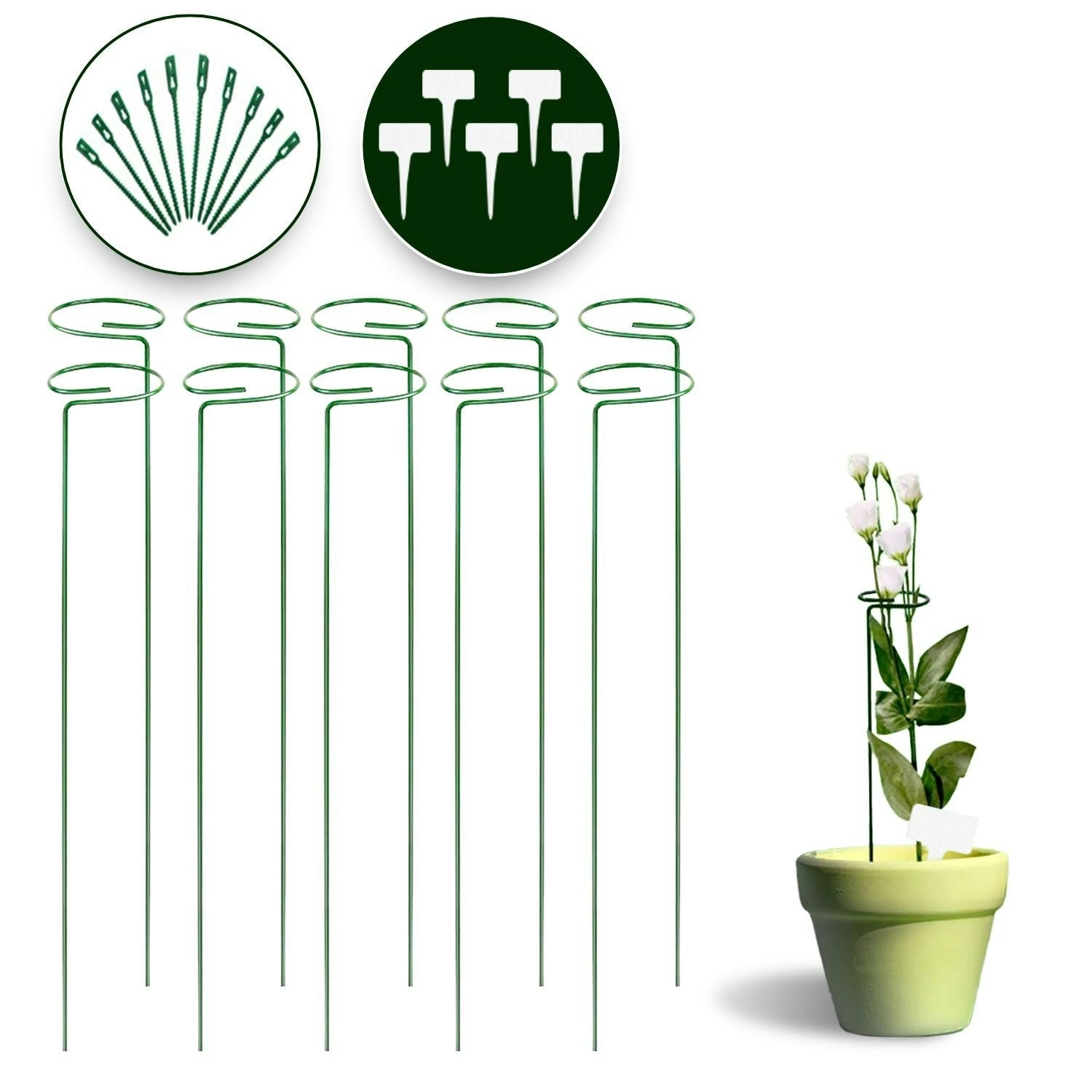 Noveden 10pcs Plant Stakes for Flowers Single Stem Garden Support Rings - Green