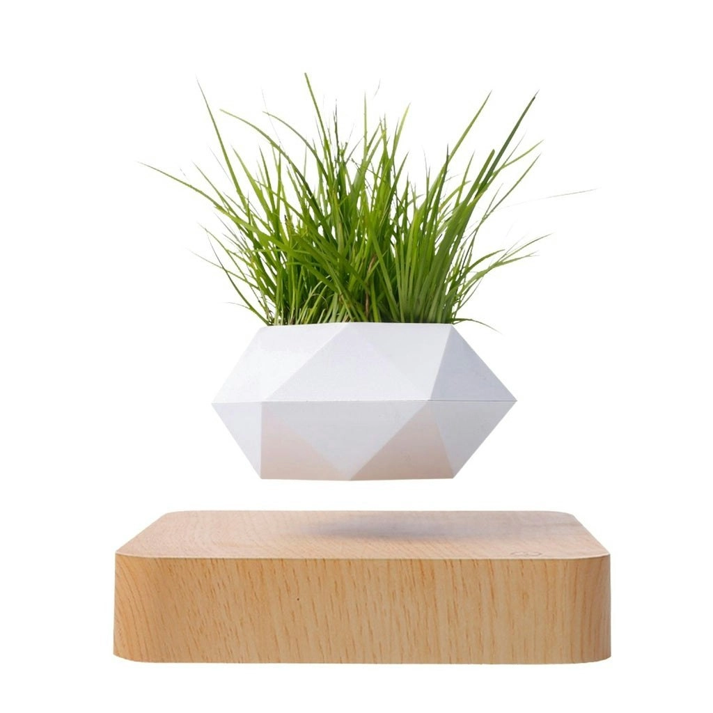 Gominimo Indoor Home Rotating Magnetic Levitating Plant Pot - White/Brown