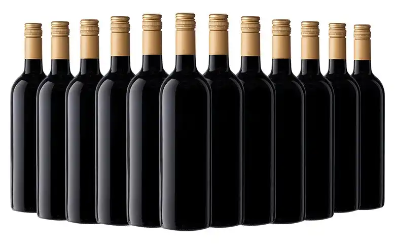 Icon Trophy Winning Winemakers Coonawarra Shiraz 2019 Cleanskin Dozen