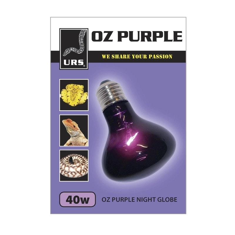 Urs Oz Purple Night Globe 40w, 60w, & 75w