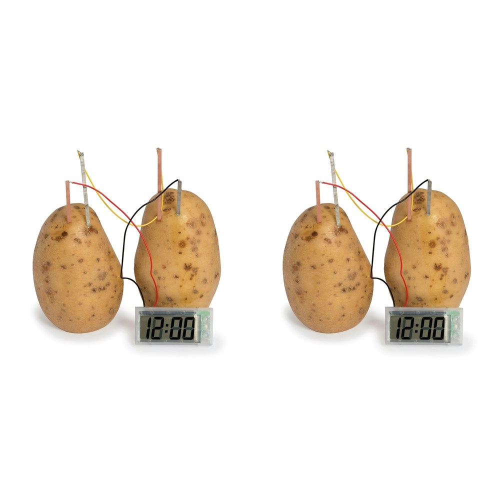 2PK Funtime 27cm Potato Clock Science Kid/Children Learning Educational Toy 10y+