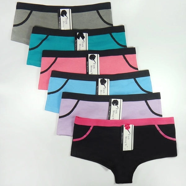 24 X Womens Sheer Spandex / Cotton Briefs - Assorted Underwear Undies 86985