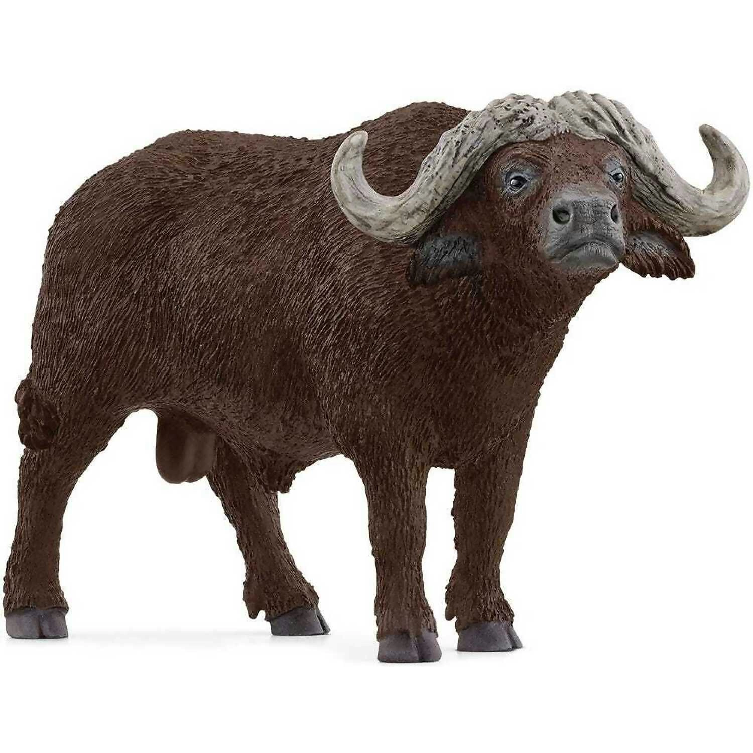 Schleich - African Buffalo