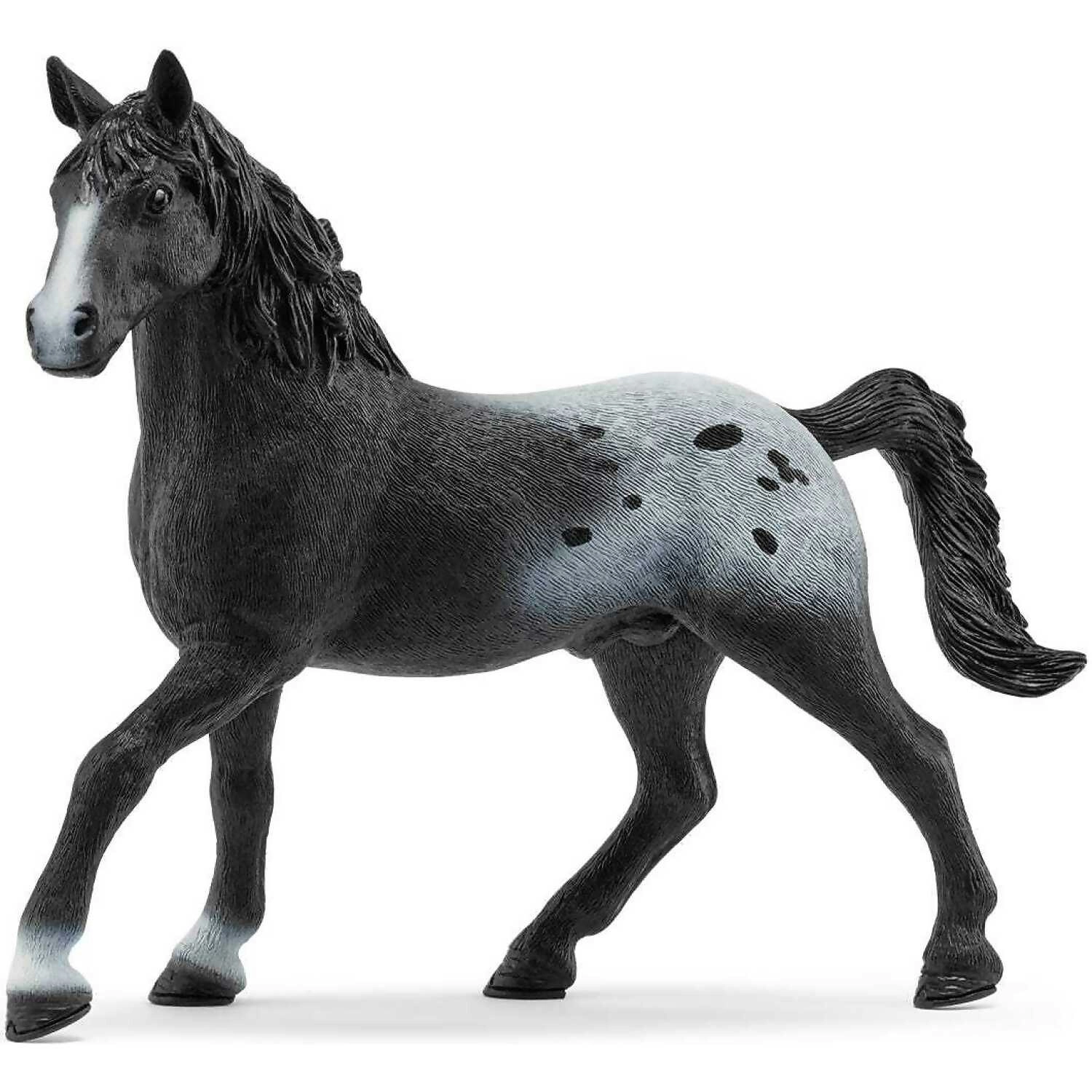 Schleich - Knappstrupper Stallion Limited Edition