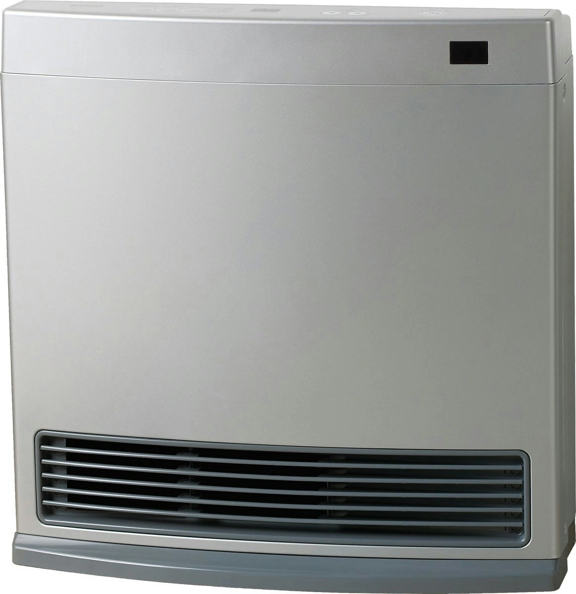 Rinnai Dynamo Natural Gas Heater