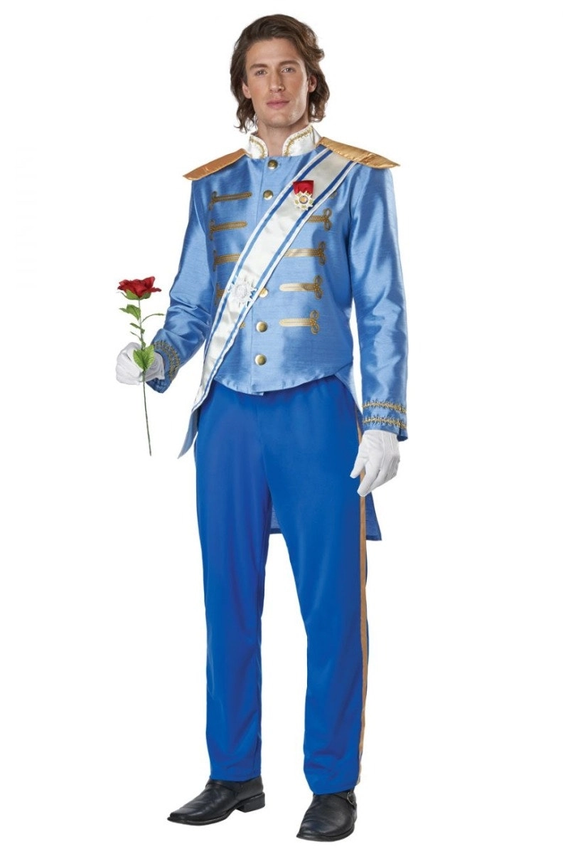 Blue Storybook Prince Charming Mens Costume