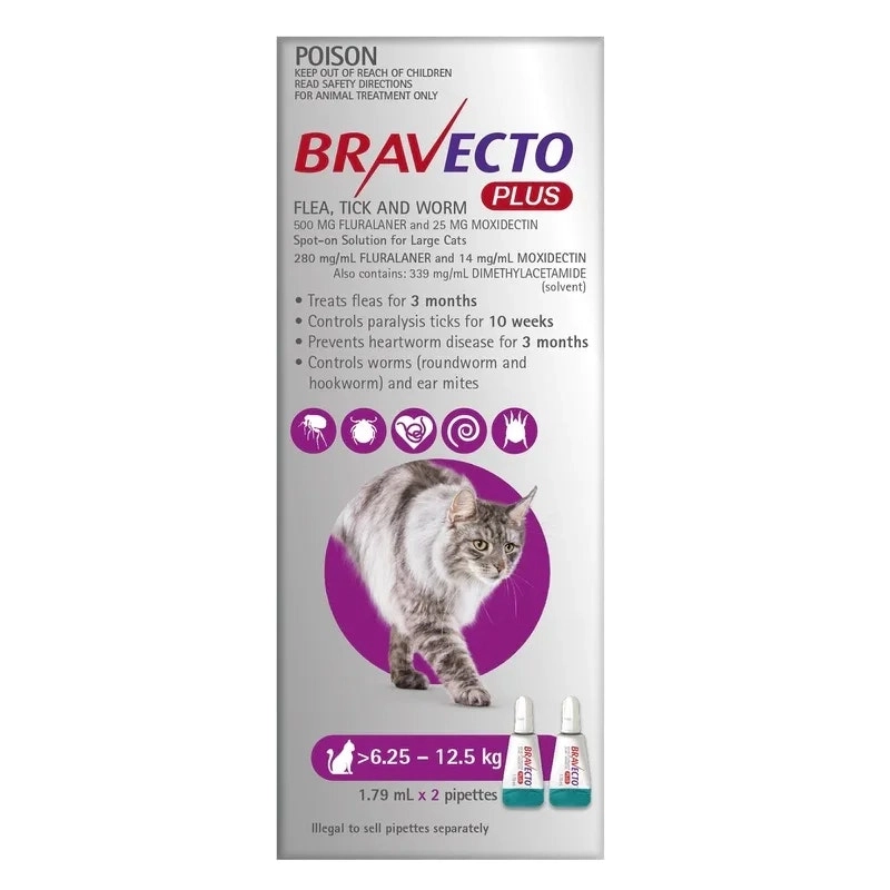 Bravecto PLUS for Large Cats (Purple) - SHORT DATED