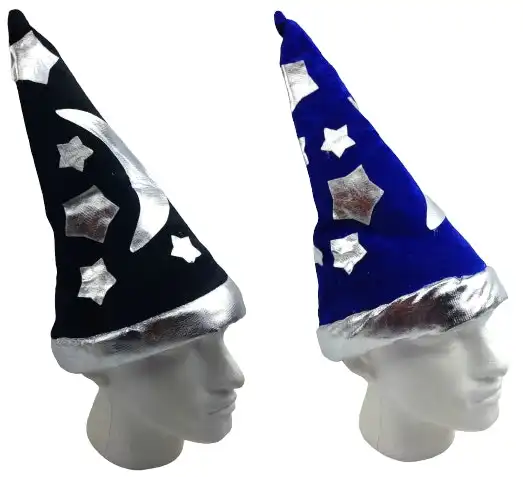 WIZARD HAT Sorcerer Book Week Halloween Magician Costume Fancy Party