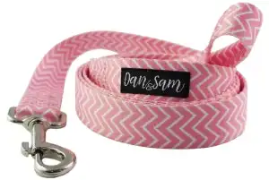 Dan & Sam  Polyester Webbing Lead  Candy Floss