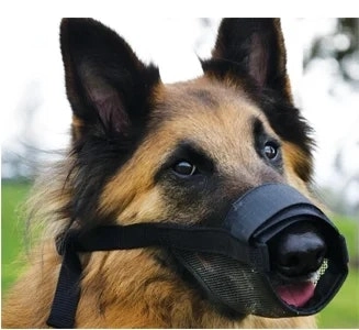 Nylon Muzzle