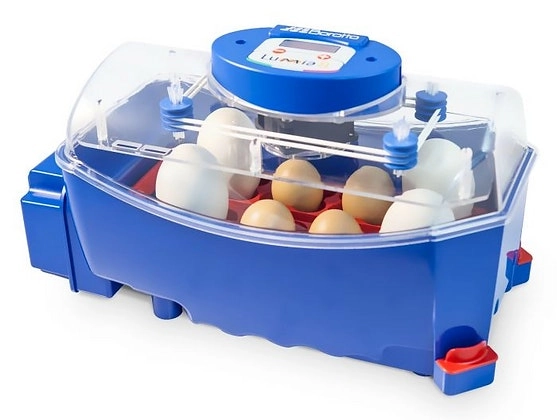 Borotto Chicken Poultry Duck Quail Egg Incubator Lumia 16 Automatic