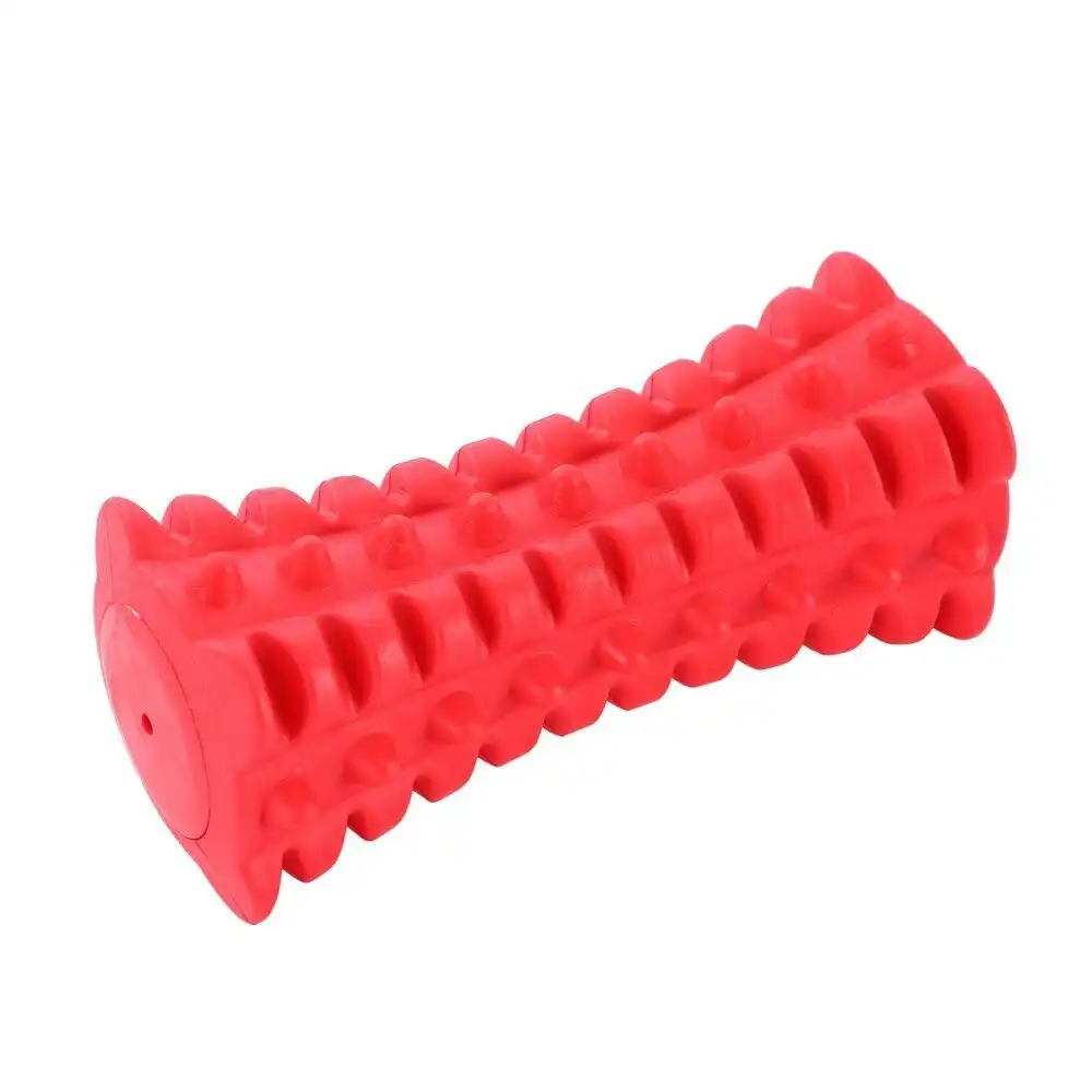 Paws & Claws 16cm Beef Flavour-Bone Spiky Bone Rubber Dog Toy Gums Clean Red