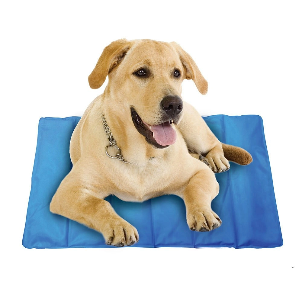 Spatastic 90x60cm Jumbo Pet/Dog/Cat Cooling Mat Indoor/Outdoor Non Toxic Blue