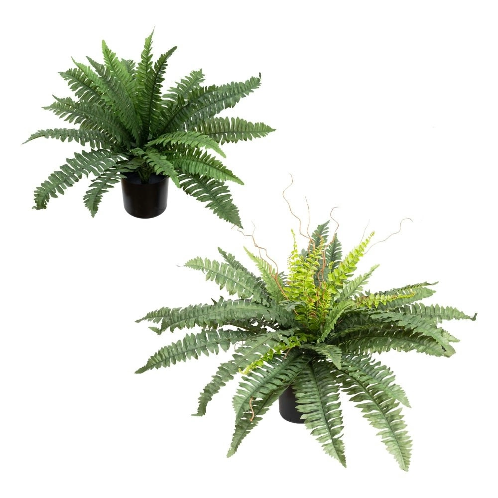 Glamorous Fusion Set Of 2 Boston Fern Artificial Fake Plant Decorative In Pot - Green