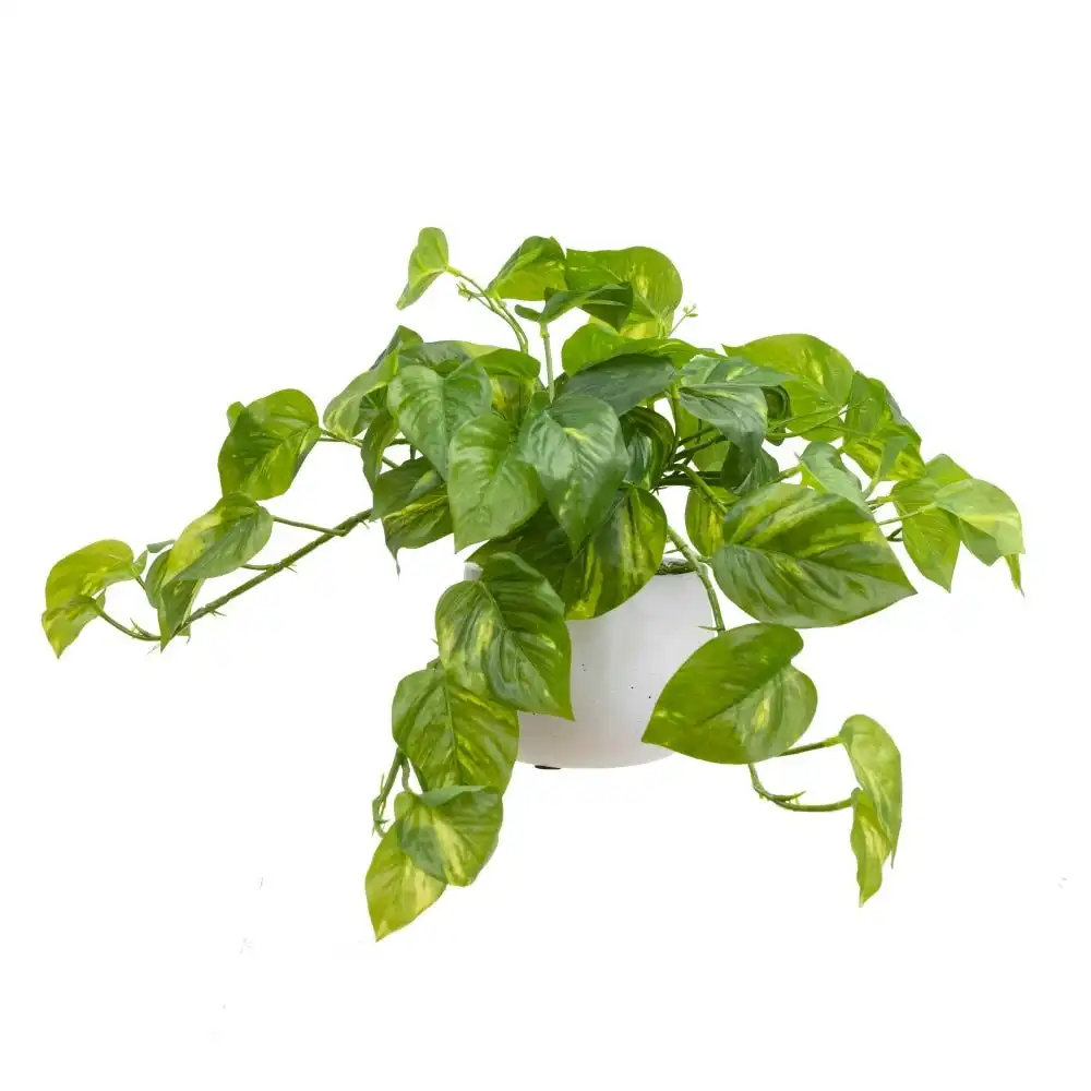 Glamorous Fusion Pothos Artificial Fake Plant Flower Decorative 30cm In Pot