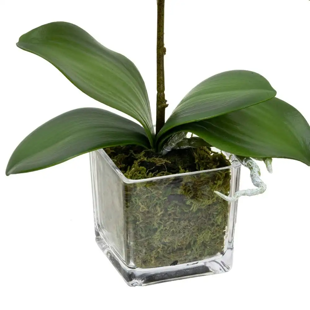 Glamorous Fusion Peach Orchid Artificial Fake Plant Decorative Arrangement 32cm In Square Glass