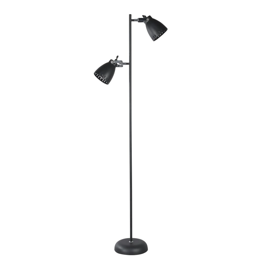 Rosie 2-Lights Modern Rustic Metal Floor Lamp Light Black