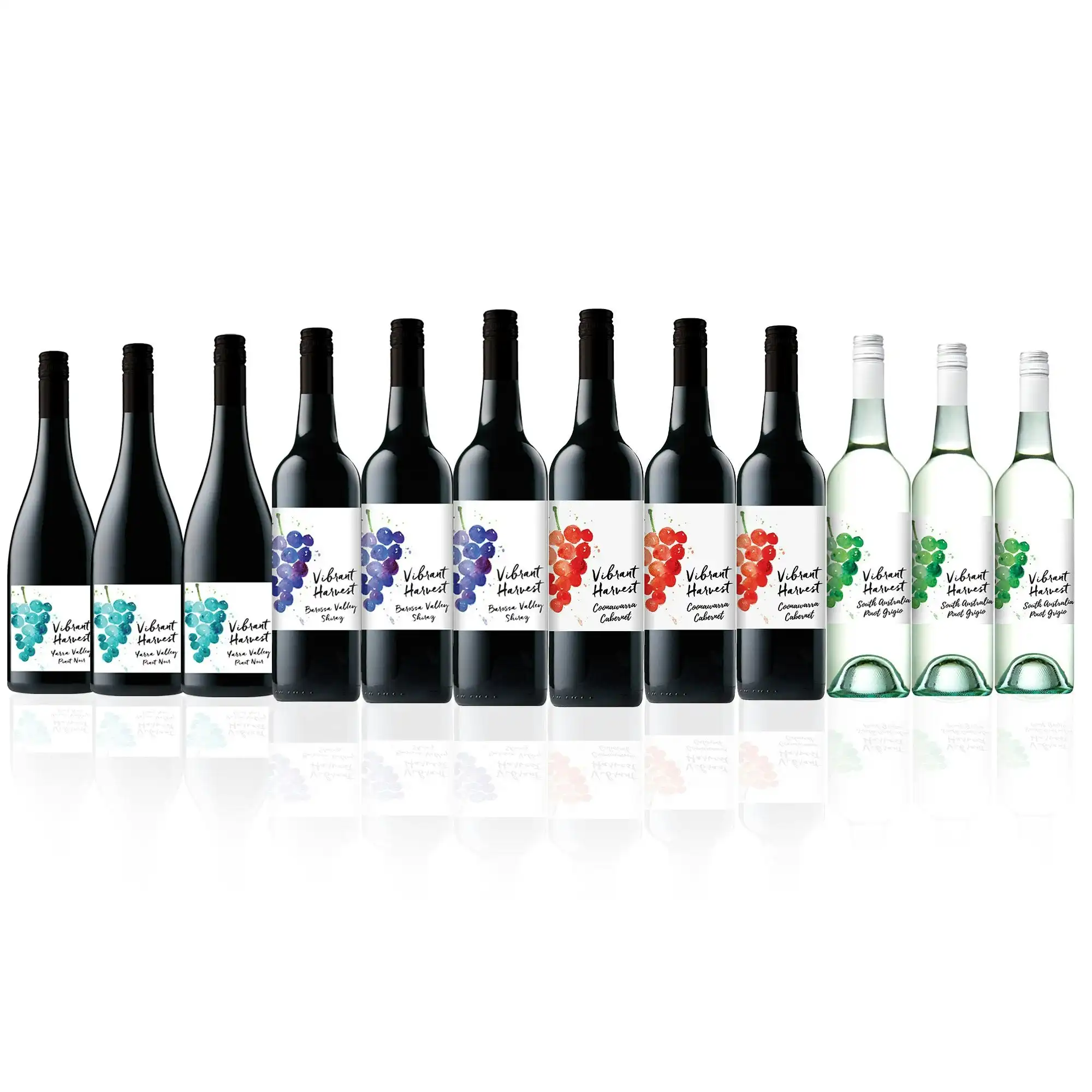 Vibrant Harvest Mixed Wine Dozen (12 bottles)