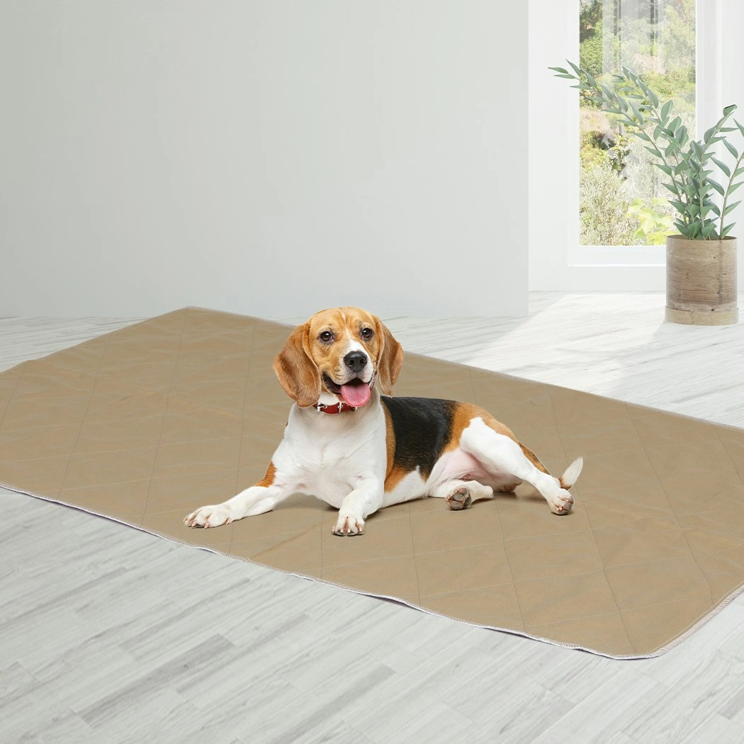 Pawz 2 Pcs 90x90 cm Reusable Waterproof Pet Puppy Toilet Training Pads XXL