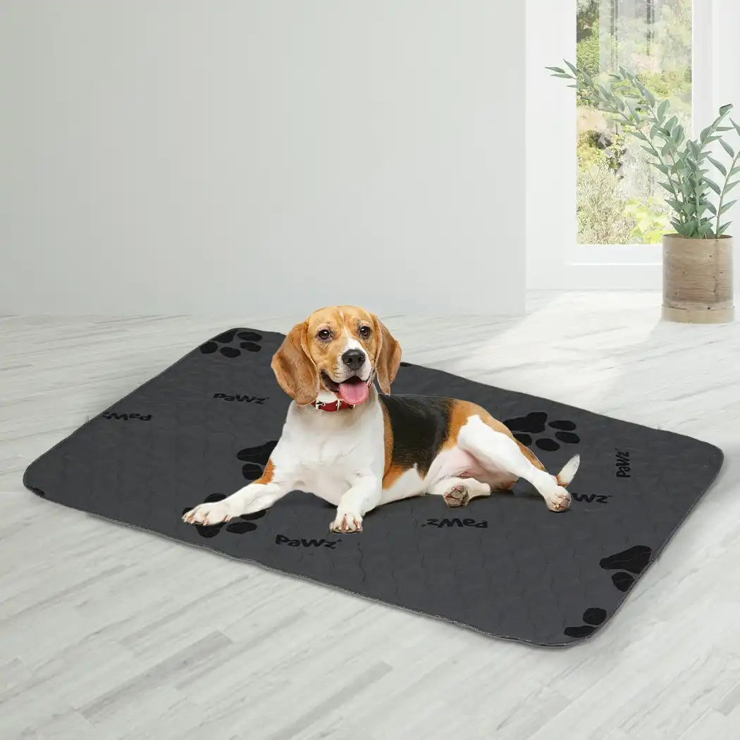 Pawz 4x Washable Dog Puppy Training Pad Pee Puppy Reusable Cushion XL Grey