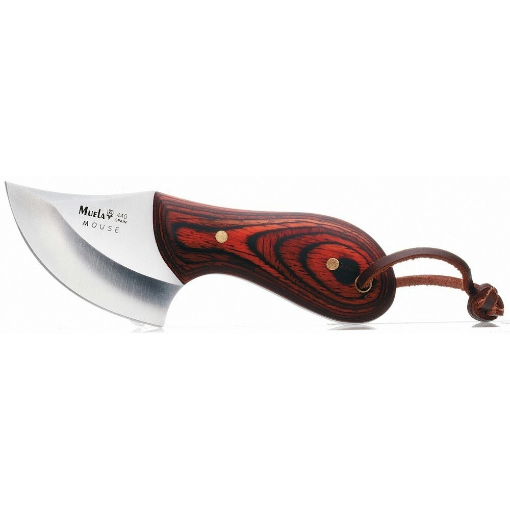 New Muela Mouse 6r Hunting Skinner Knife | Coral Wood Handle