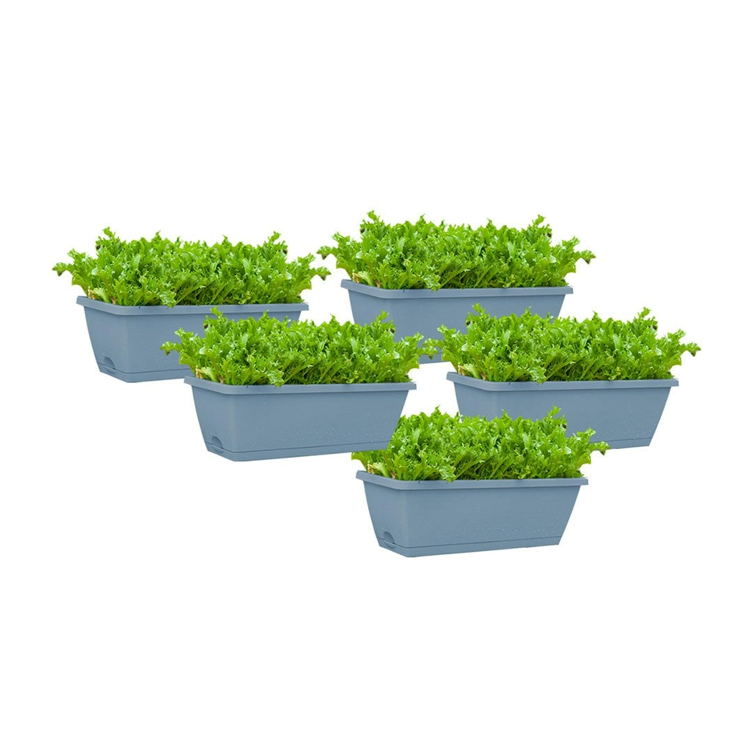 Soga 49.5cm Blue Rectangular Planter Vegetable Herb Flower Outdoor Plastic Box with Holder Balcony Garden Decor Set of 5