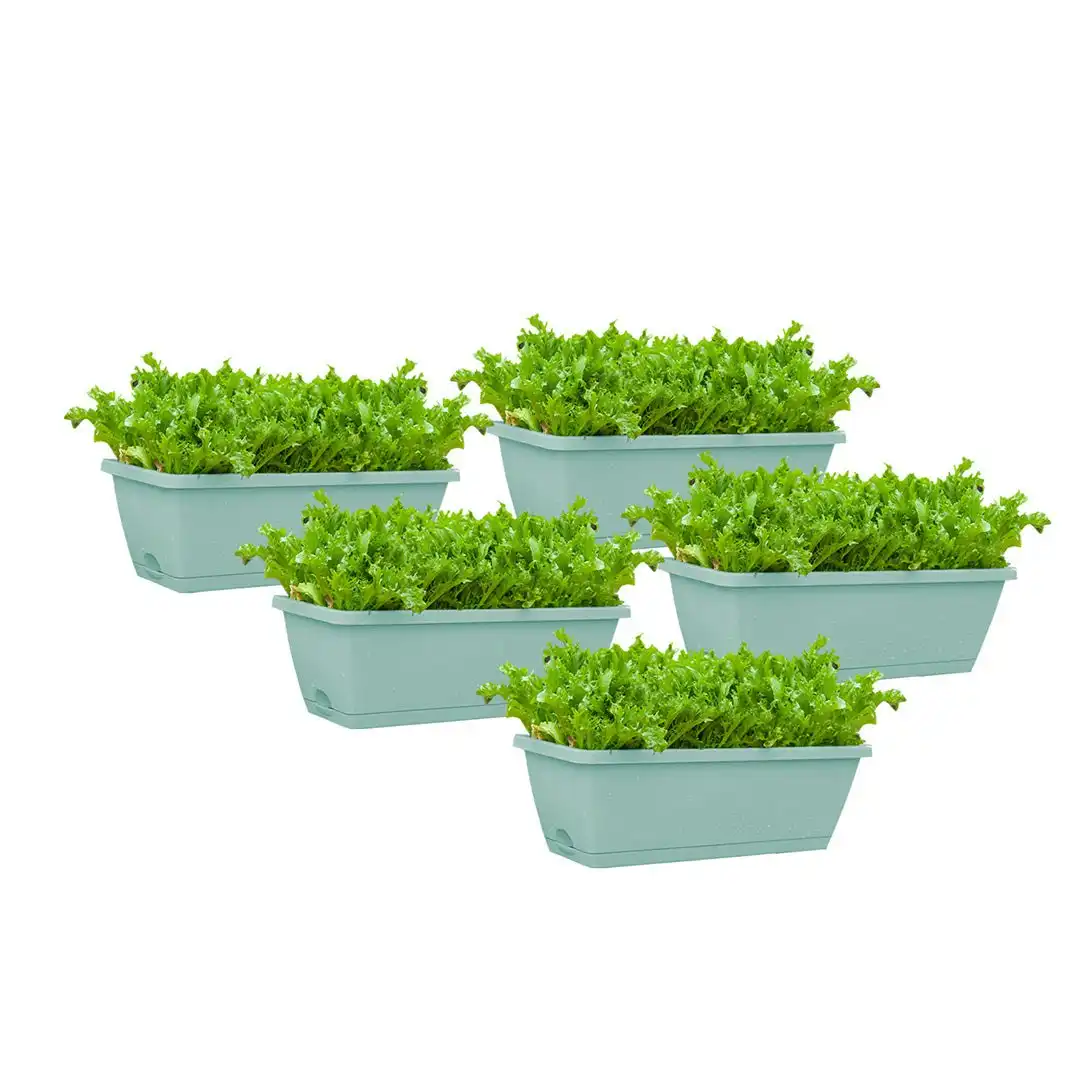 Soga 49.5cm Green Rectangular Planter Vegetable Herb Flower Outdoor Plastic Box with Holder Balcony Garden Decor Set of 5