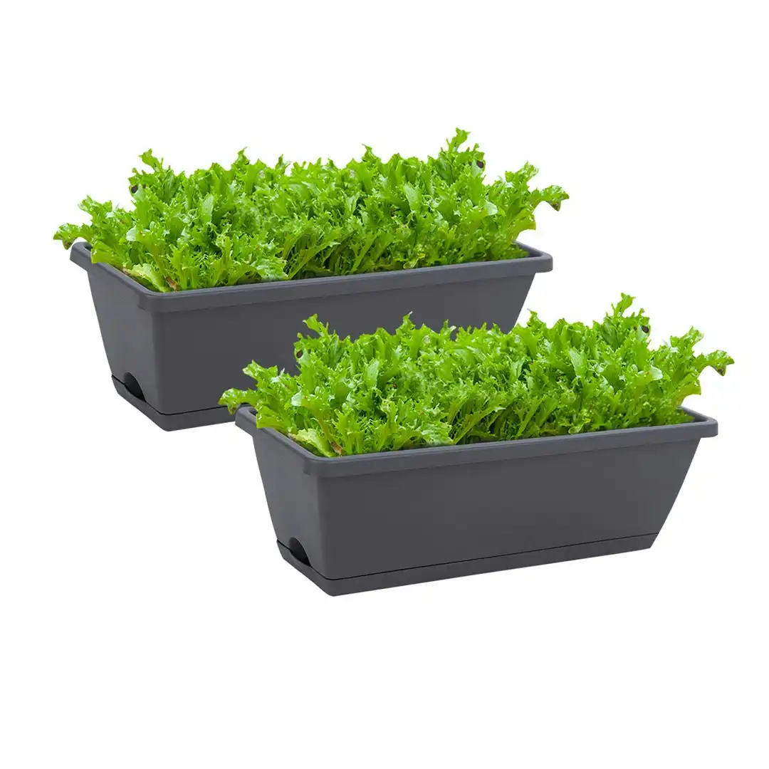 Soga 49.5cm Black Rectangular Planter Vegetable Herb Flower Outdoor Plastic Box with Holder Balcony Garden Decor Set of 2