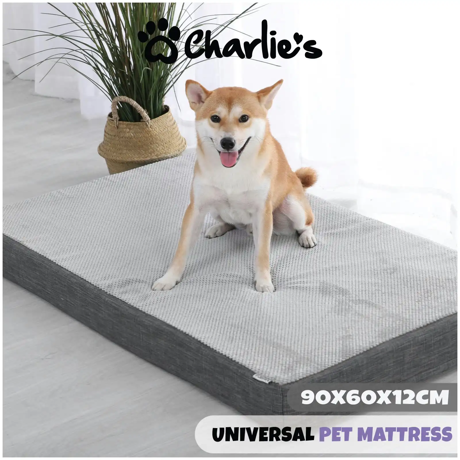 Charlie's Universal Pet Mattress Medium