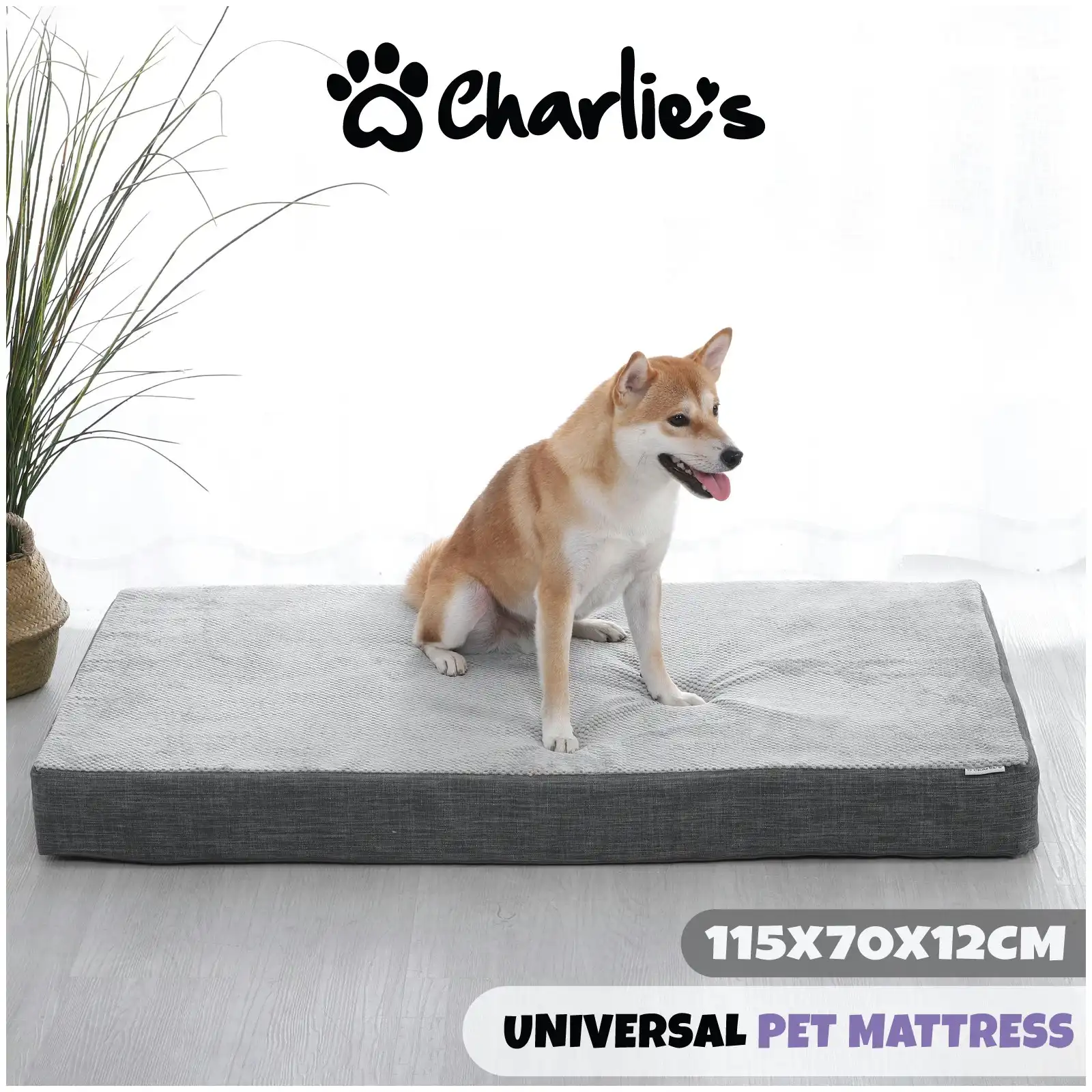 Charlie's Universal Pet Mattress Large