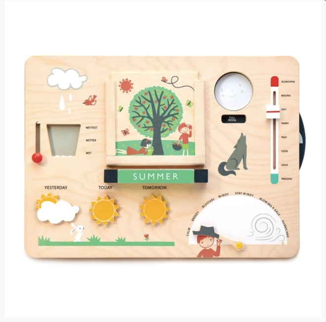 Tender Leaf Toys Wooden Weather Station