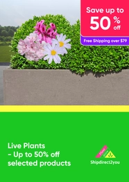 Live Plants - Up to 50% off selected products